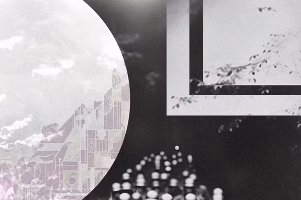 Романс гибридной пехоты 